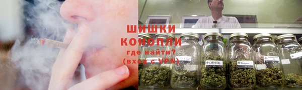 стаф Приозерск
