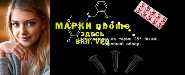 стаф Приозерск
