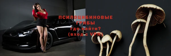 стаф Приозерск