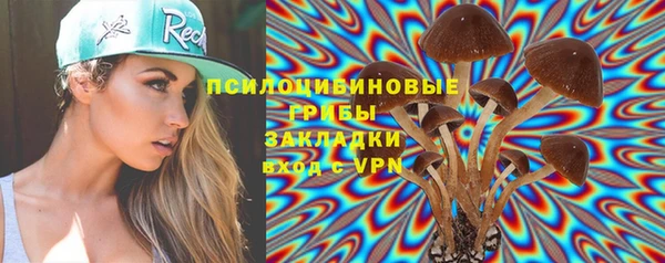 МДПВ Пролетарск