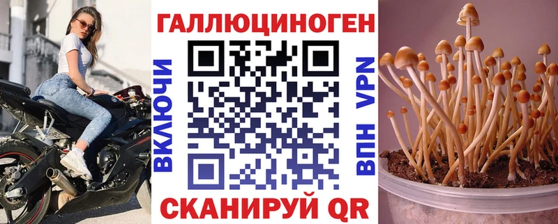 купить наркотики сайты  Белёв  Псилоцибиновые грибы MAGIC MUSHROOMS 